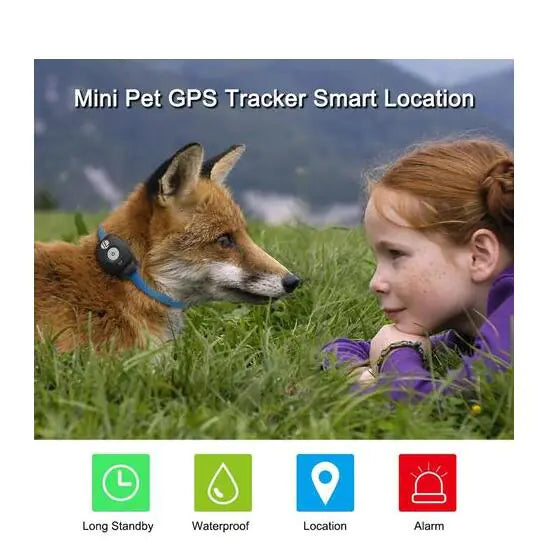 Pet Collar with GPS Tracker and Locator